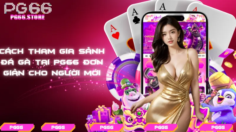 Cách tham gia sảnh đá gà tại PG66 đơn giản cho người mới