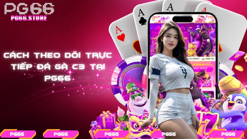 Cách theo dõi trực tiếp đá gà C3 tại PG66