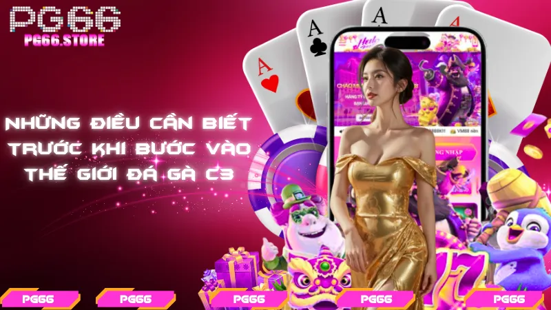Những điều cần biết trước khi bước vào thế giới đá gà C3